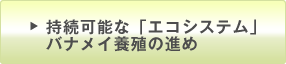 接続可能な「エコシステム」バナメイ養殖の進め